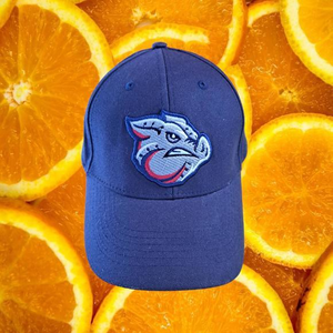 Leigh Valley Minor‎ League Ironpigs  Bimm Ridder Adjustable Hat